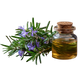 Rosemary