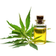 Mustard Oil